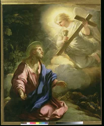 Die Agonie im Garten